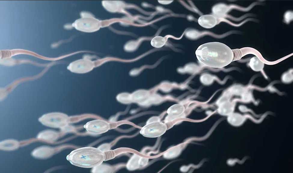 জন্ম নিয়ন্ত্রণ: পুরুষদের অনাগ্রহ, সব ভার নারীর কাঁধে